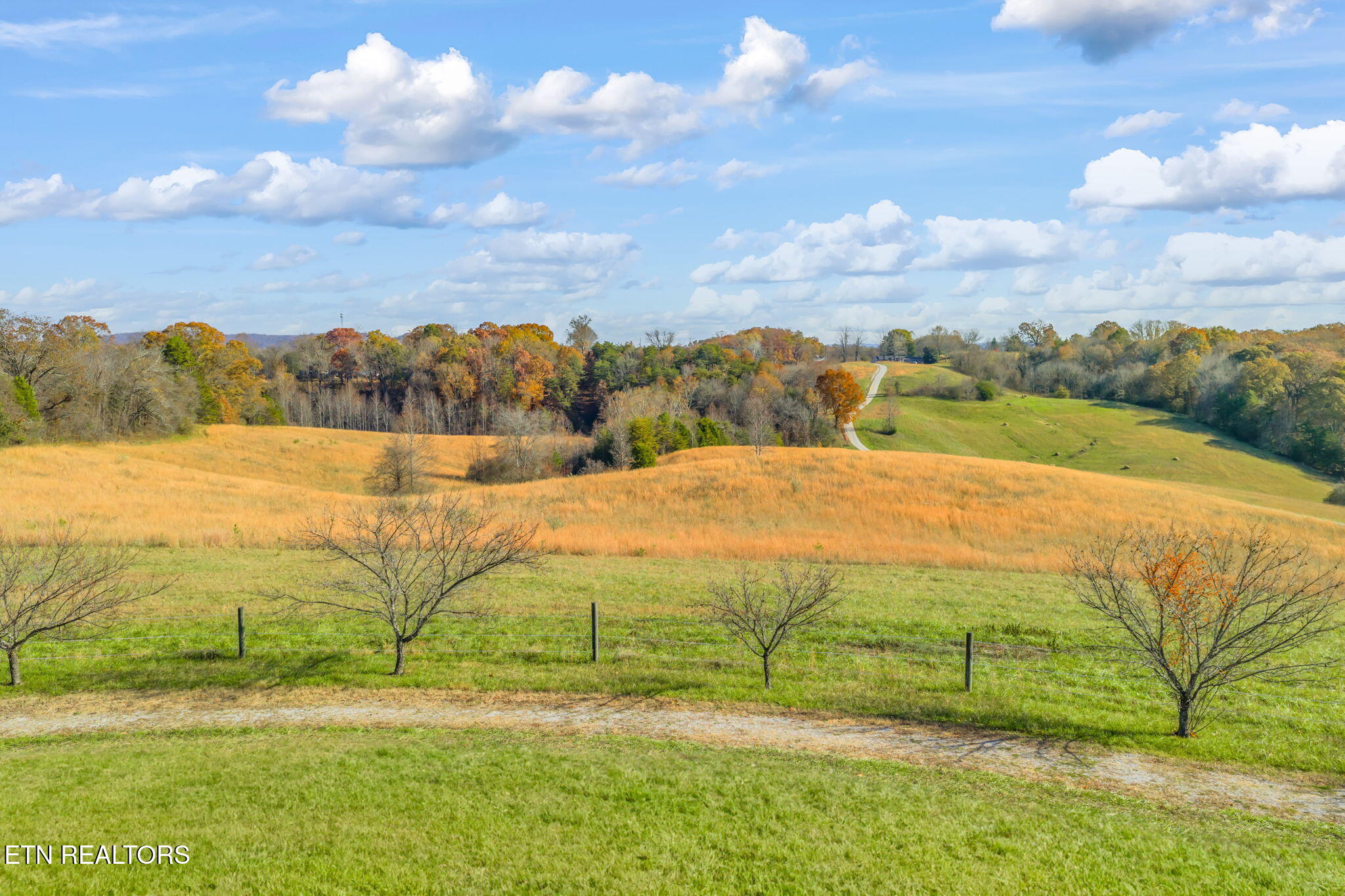 321 Peach Orchard Road Clinton TN 37716