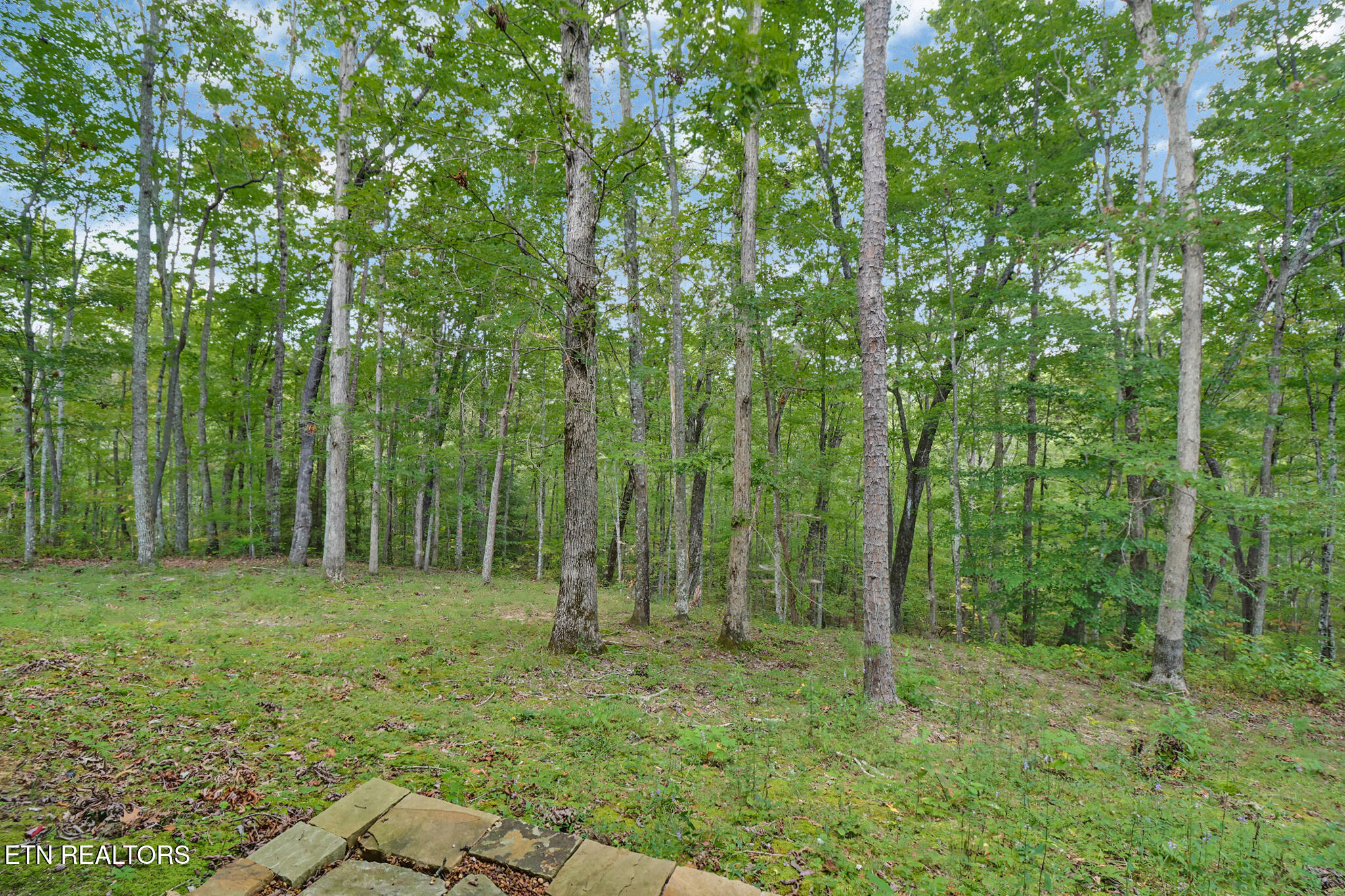 1150 Grandview Way Jamestown TN 38556
