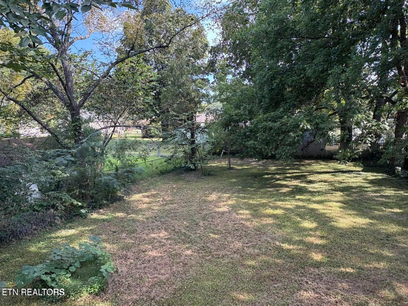 498 W Rhea Avenue Spring City TN 37381