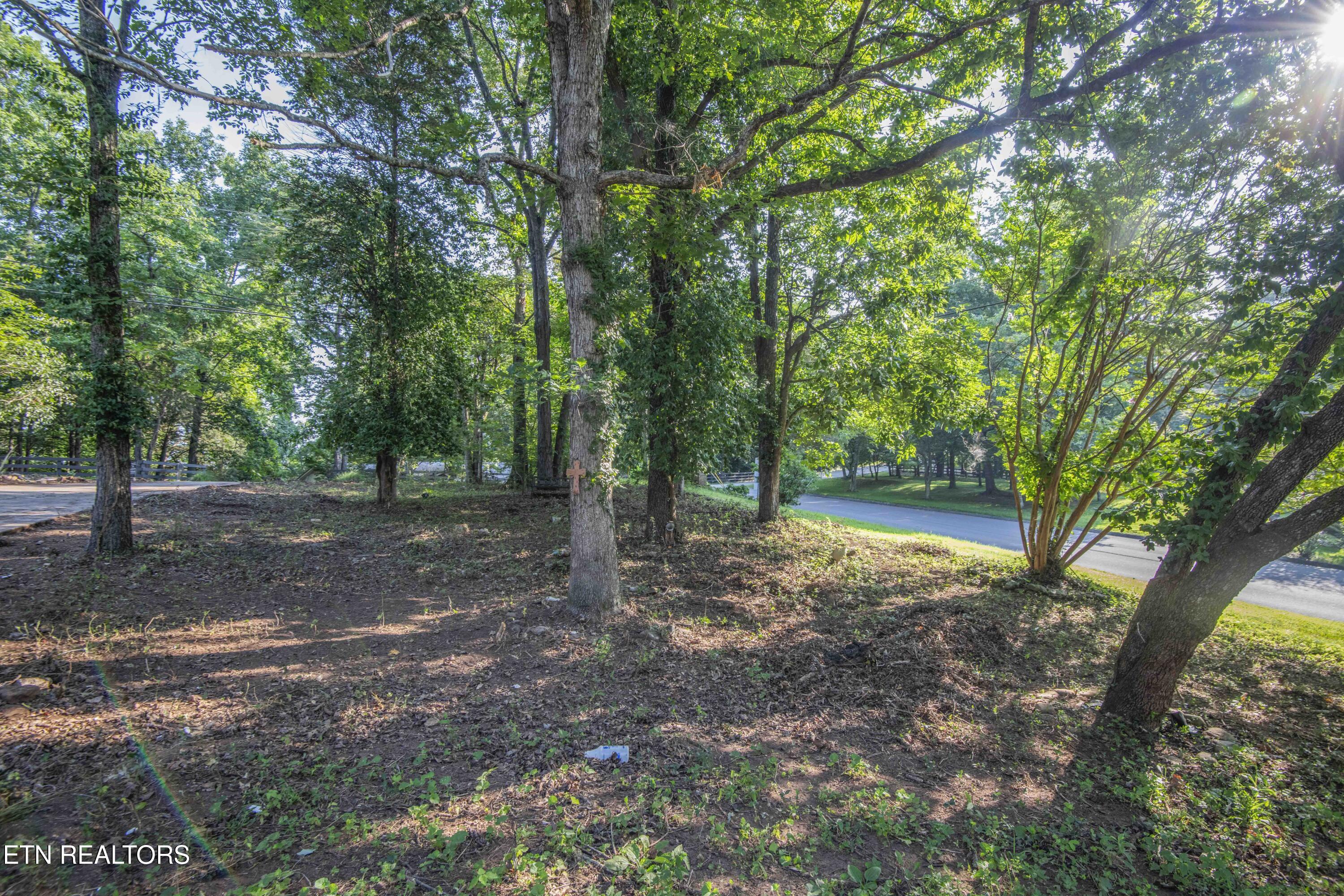 104 Blackberry Ridge Drive Lenoir City TN 37772