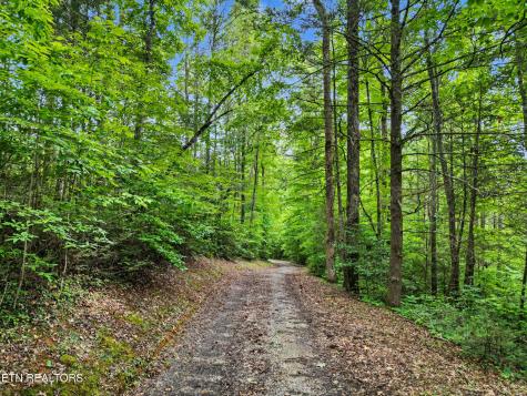 1006 Dry Valley Road Townsend TN 37882