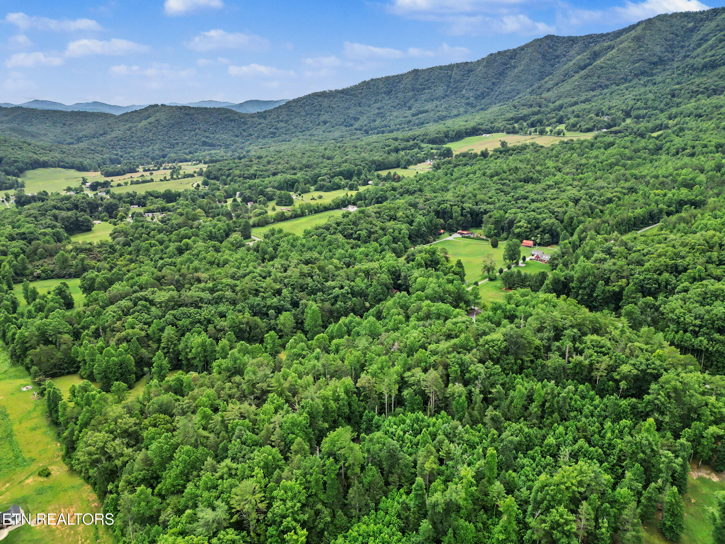 1006 Dry Valley Road Townsend TN 37882