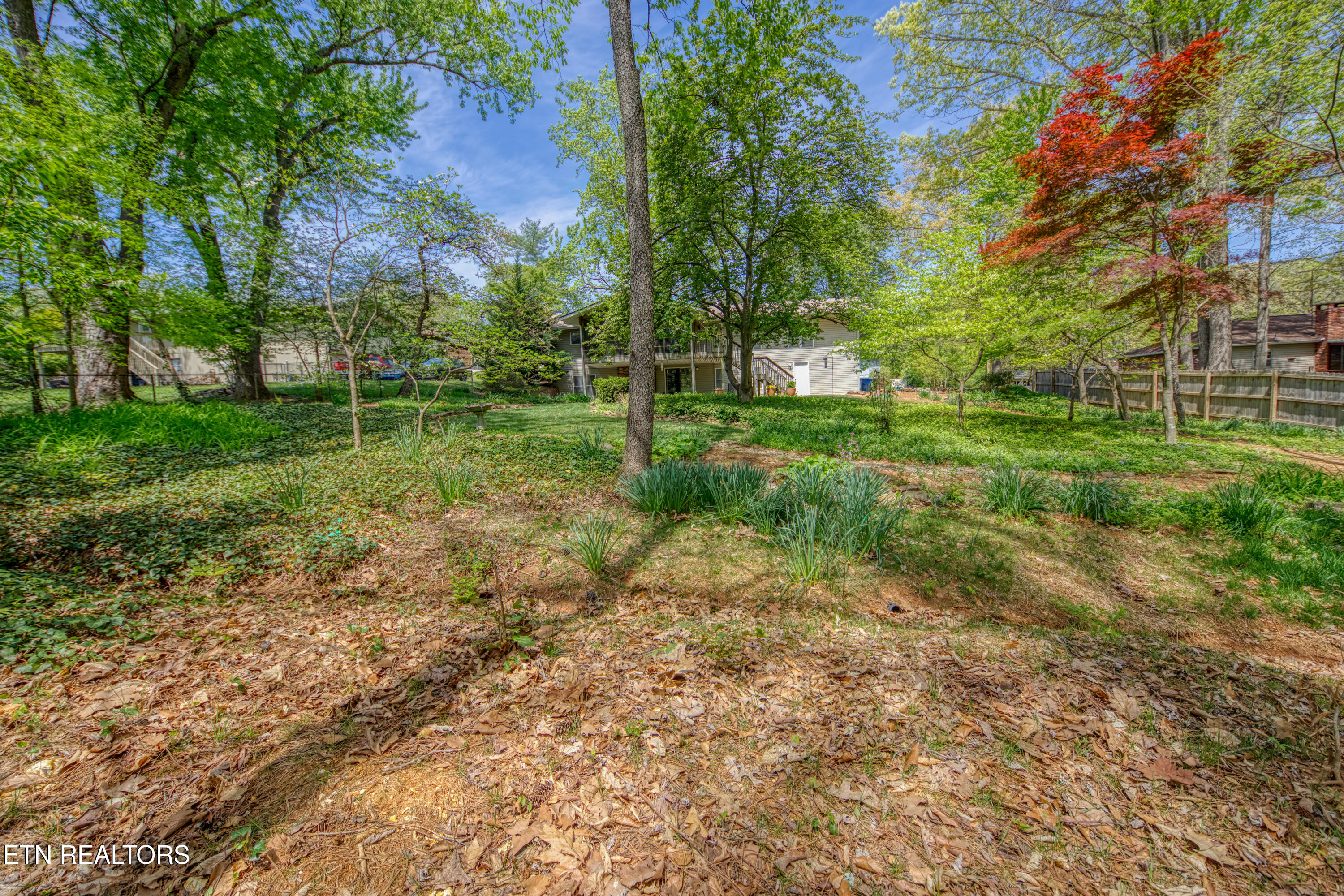 1140 Venice Road Knoxville TN 37923