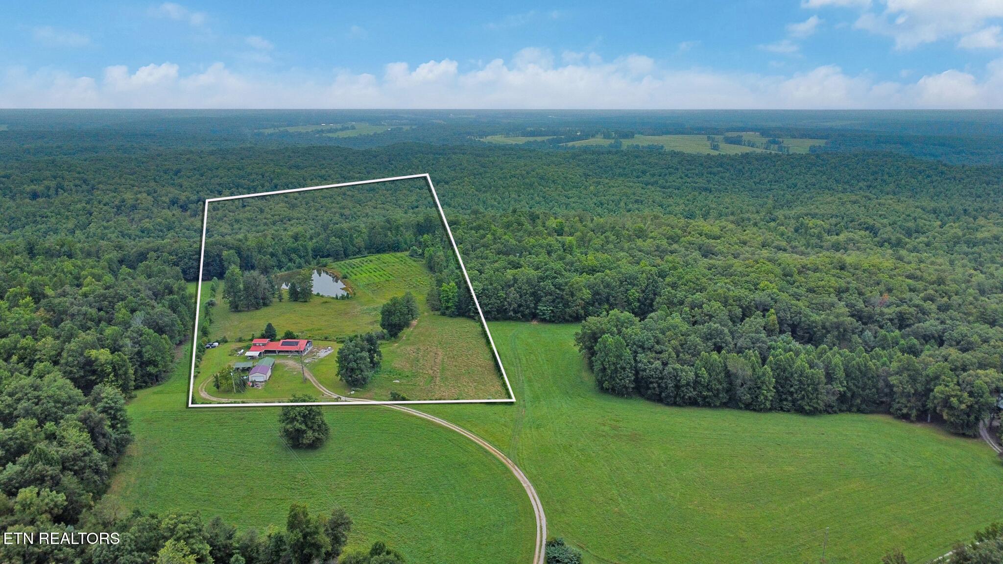 252 Carlie Lane Deer Lodge TN 37726