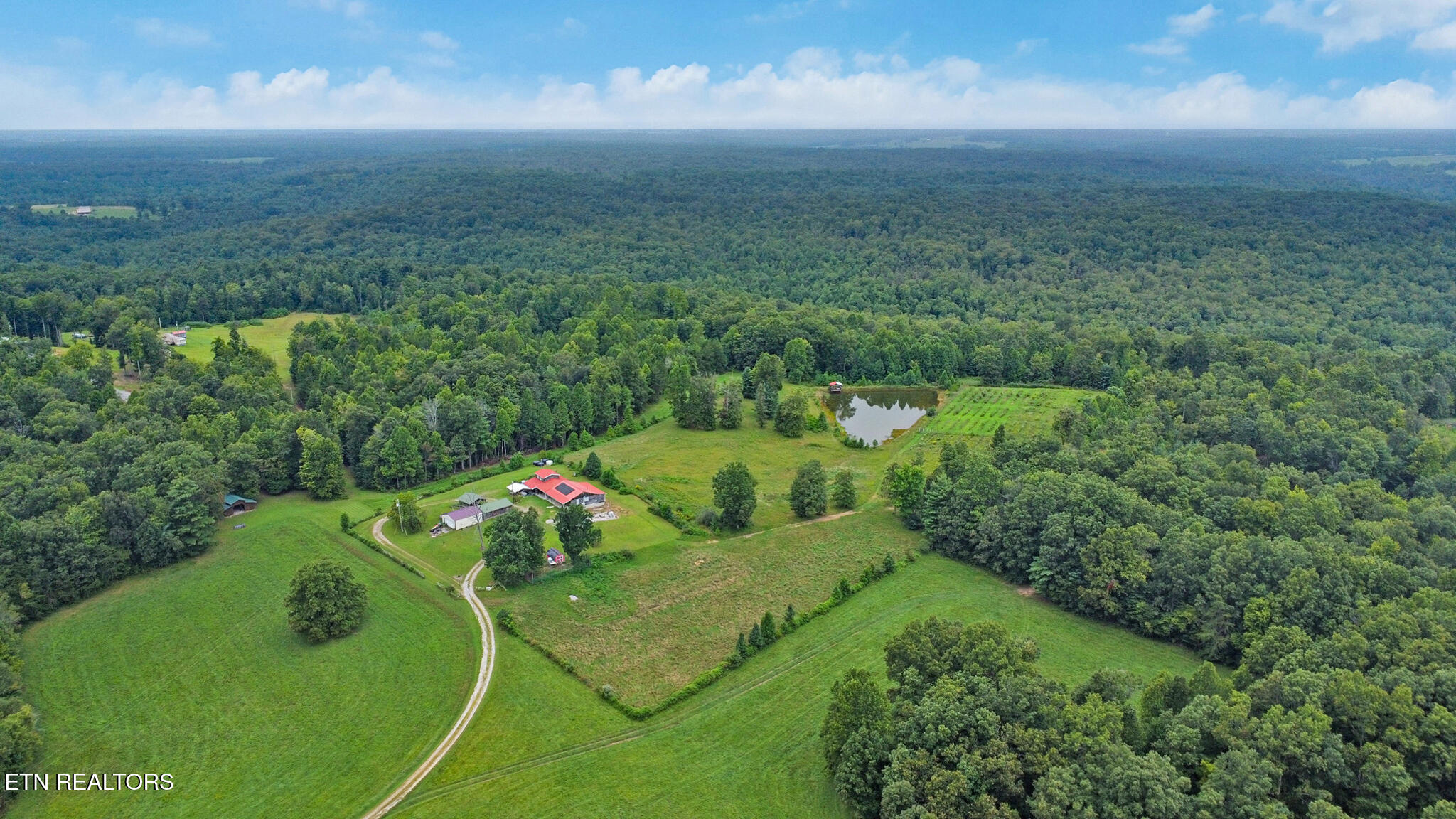 252 Carlie Lane Deer Lodge TN 37726