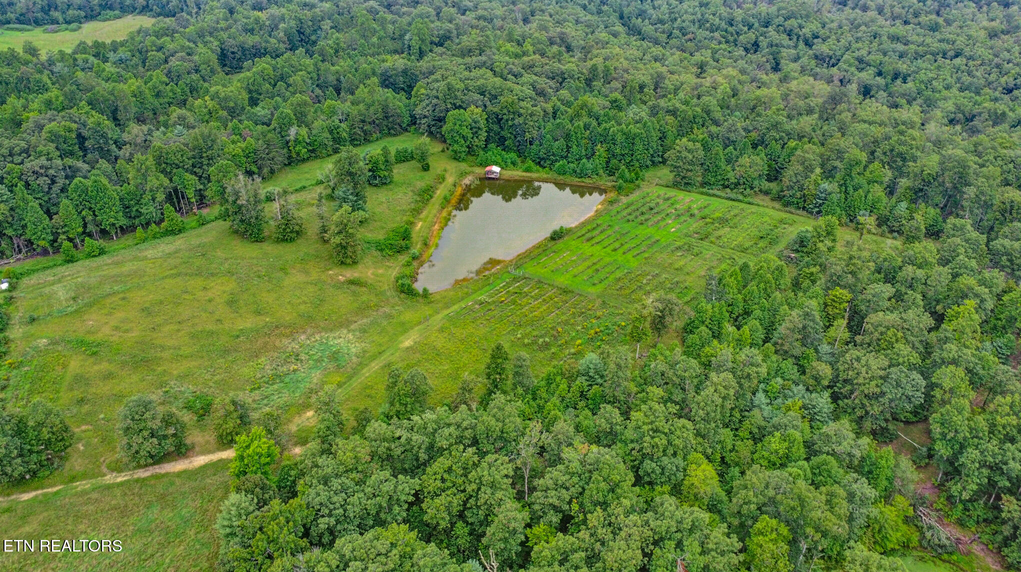 252 Carlie Lane Deer Lodge TN 37726