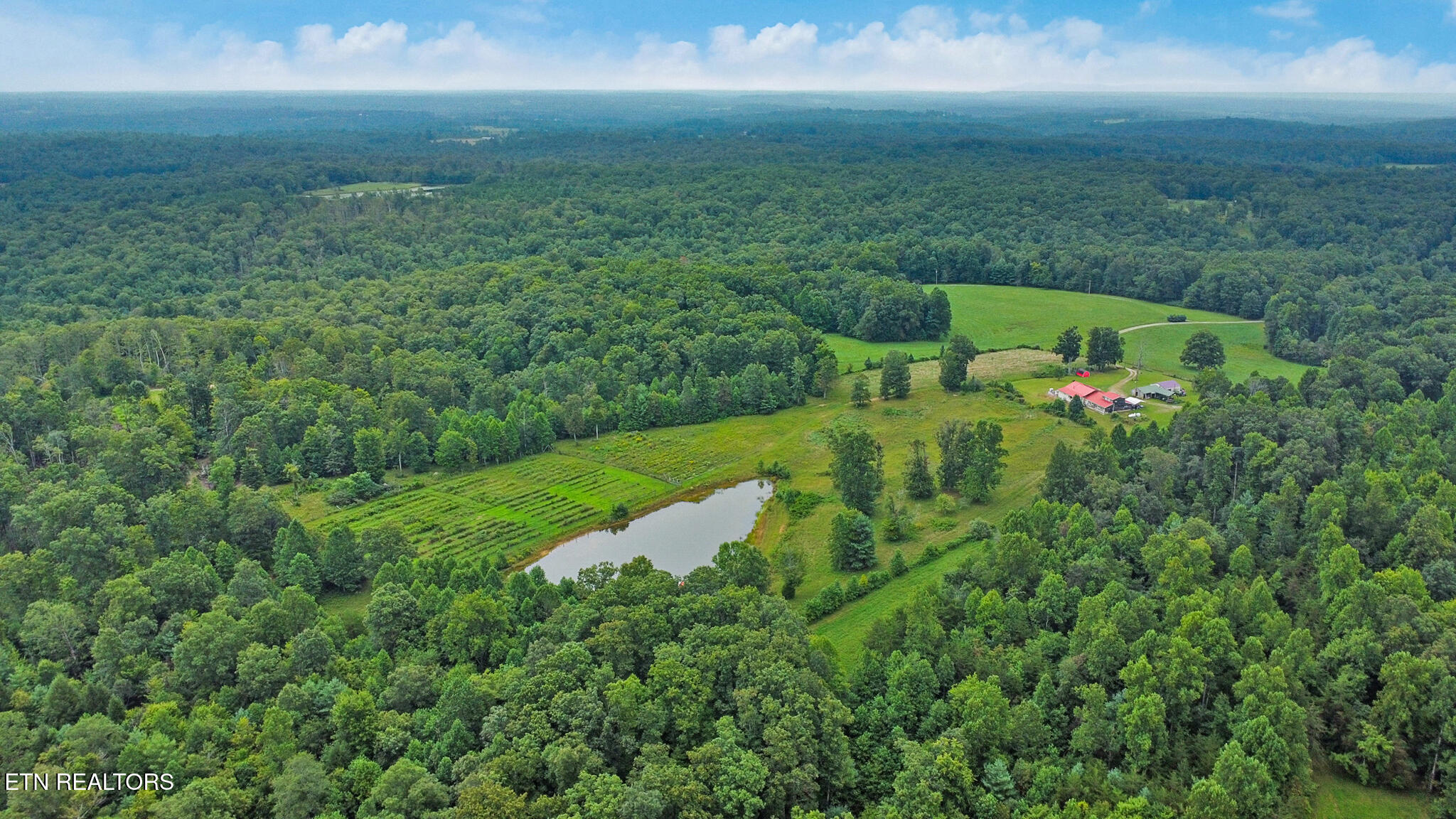 252 Carlie Lane Deer Lodge TN 37726