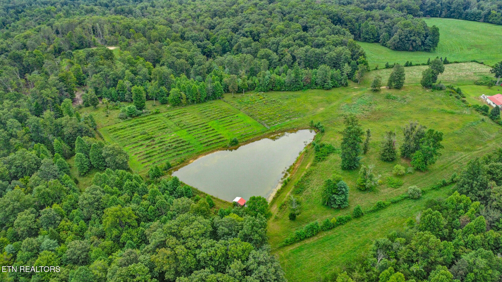 252 Carlie Lane Deer Lodge TN 37726