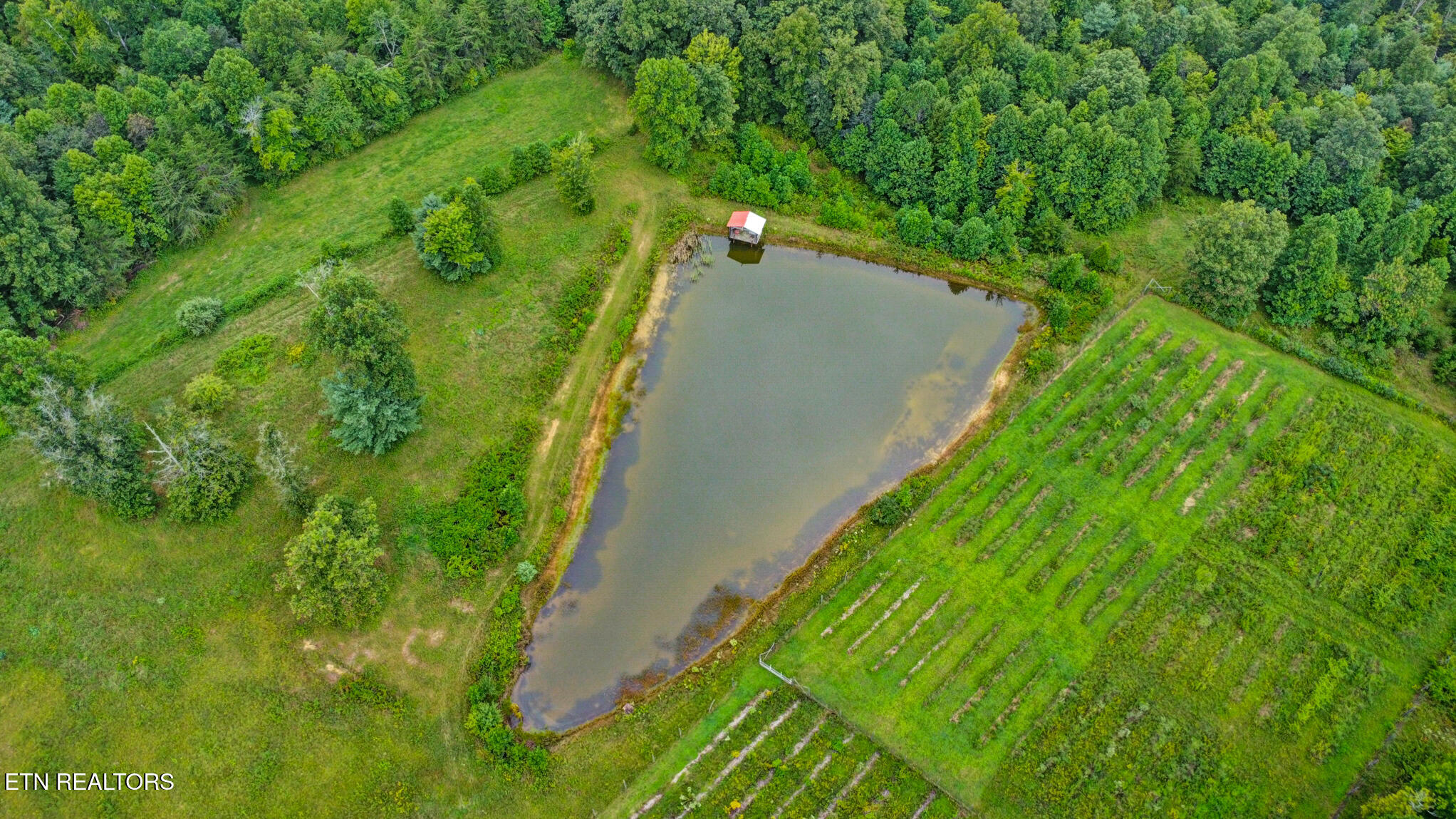 252 Carlie Lane Deer Lodge TN 37726