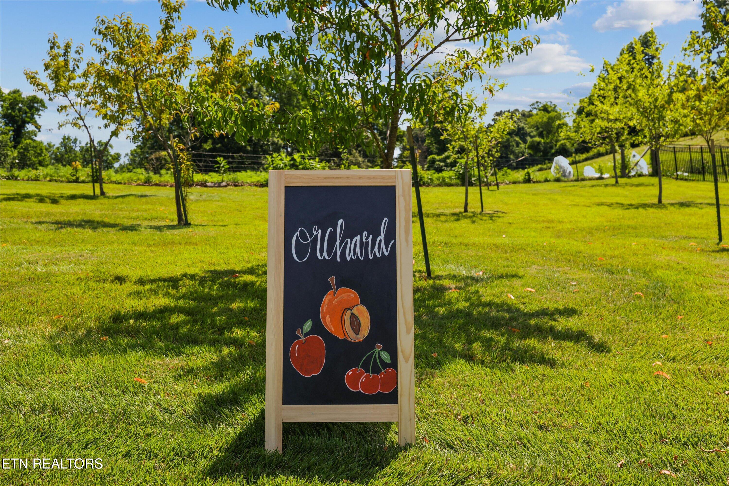 176 Apple Tree Drive Clinton TN 37716