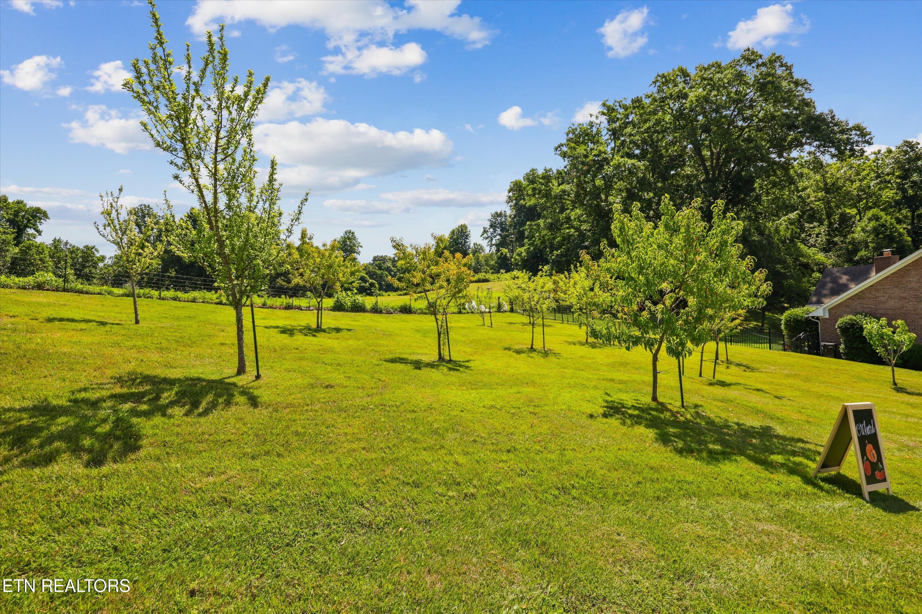 176 Apple Tree Drive Clinton TN 37716