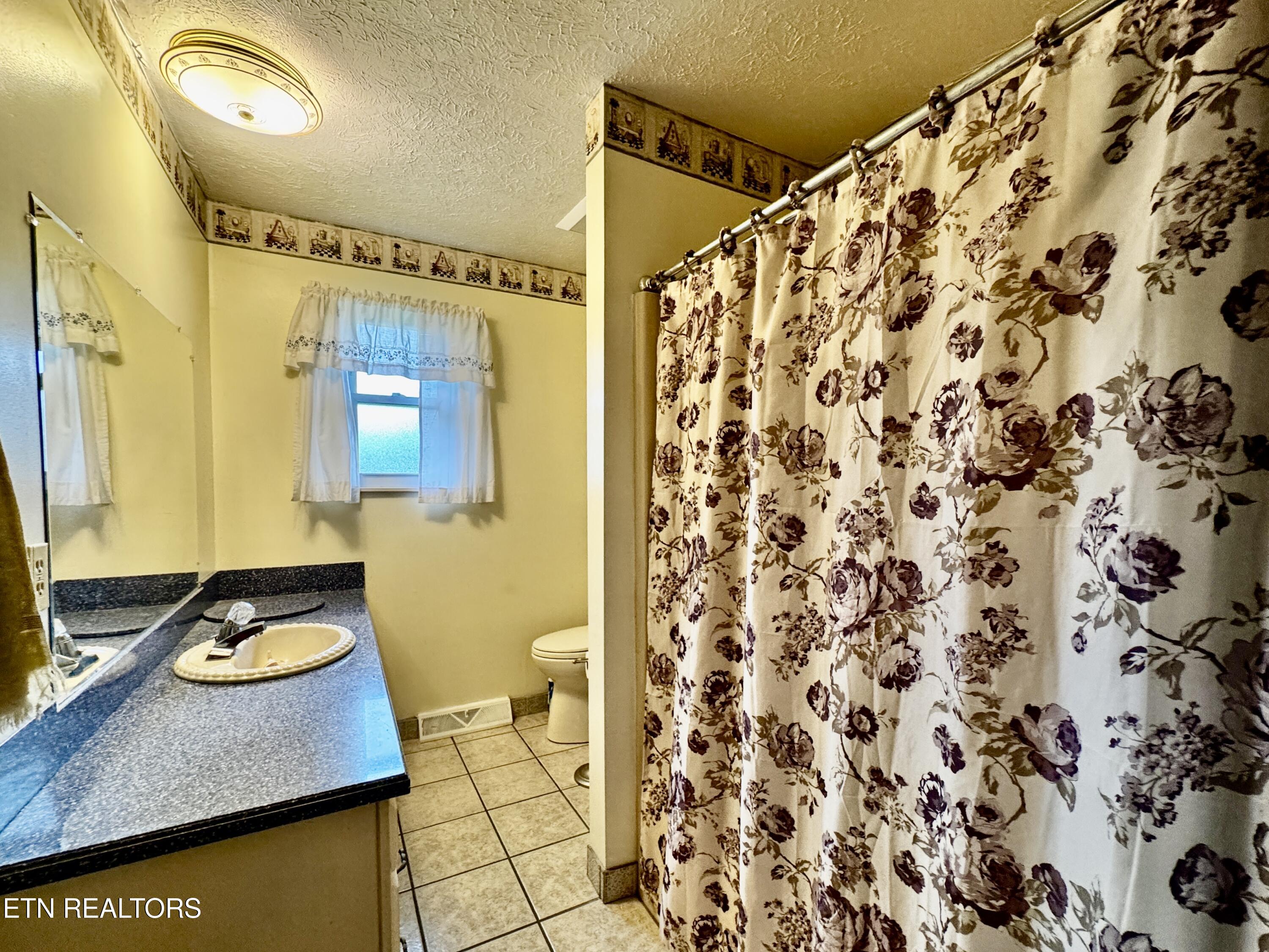 110 Birchwood Lane Sevierville TN 37862
