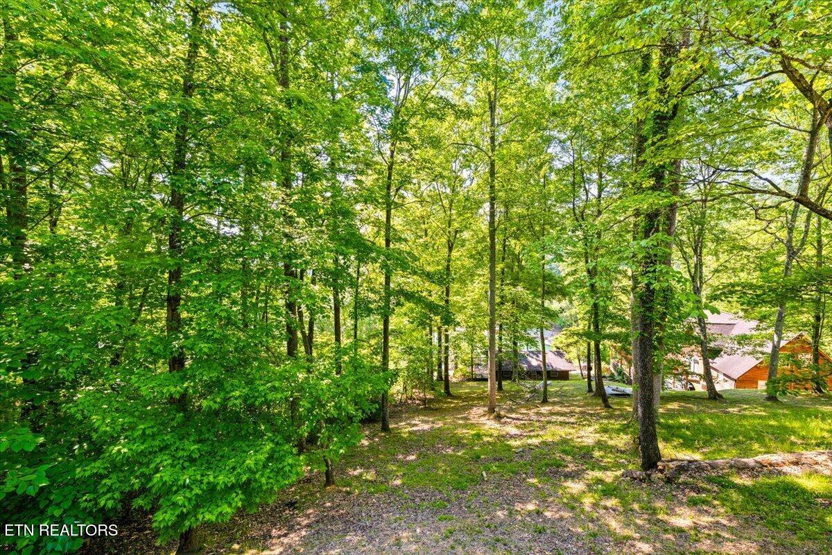 264 Rain Valley Road Lafollette TN 37766