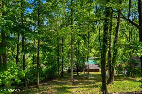 264 Rain Valley Road LaFollette TN 37766