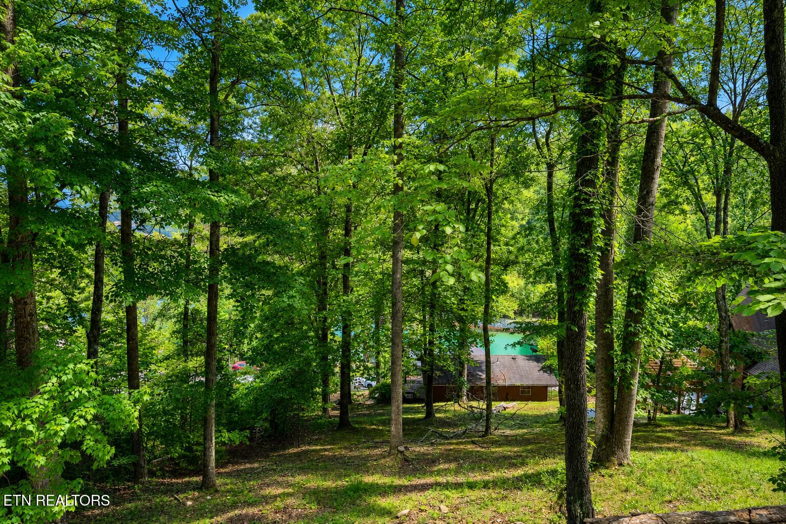 264 Rain Valley Road Lafollette TN 37766