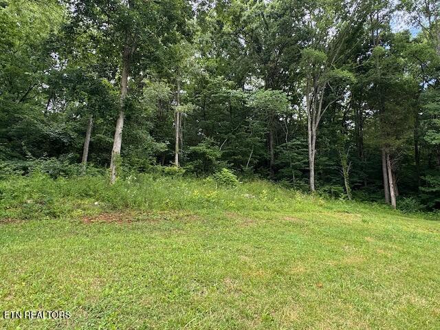 665 W Dumplin Valley Road Jefferson City TN 37760