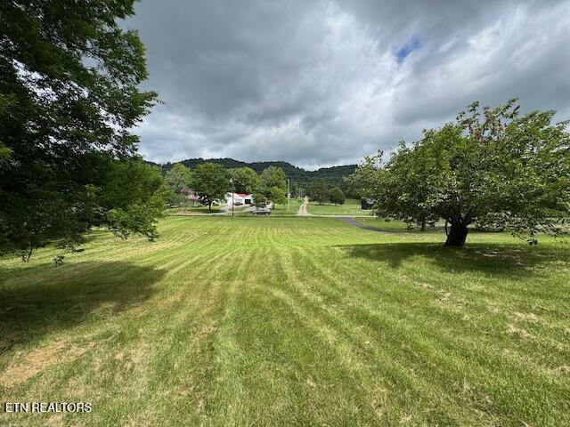 665 W Dumplin Valley Road Jefferson City TN 37760