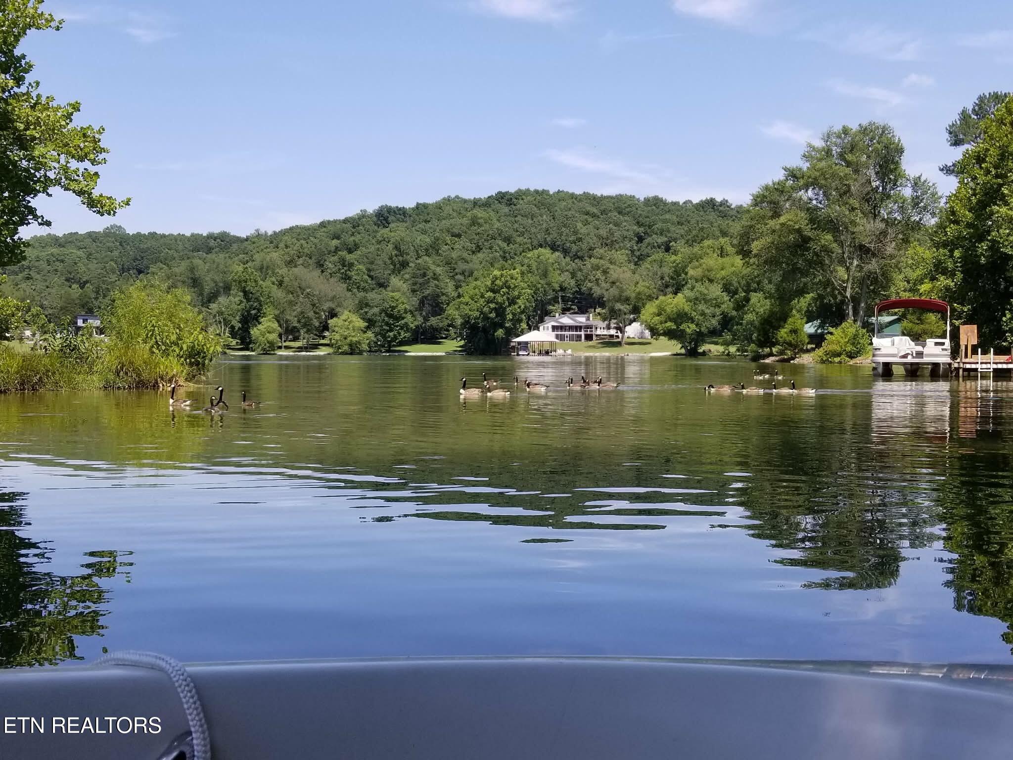 115 Bowsprit Lane Kingston TN 37763
