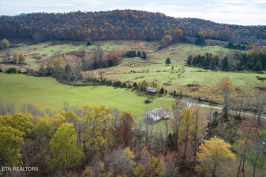 1476 Conrad Templeton Road Quebeck TN 38579