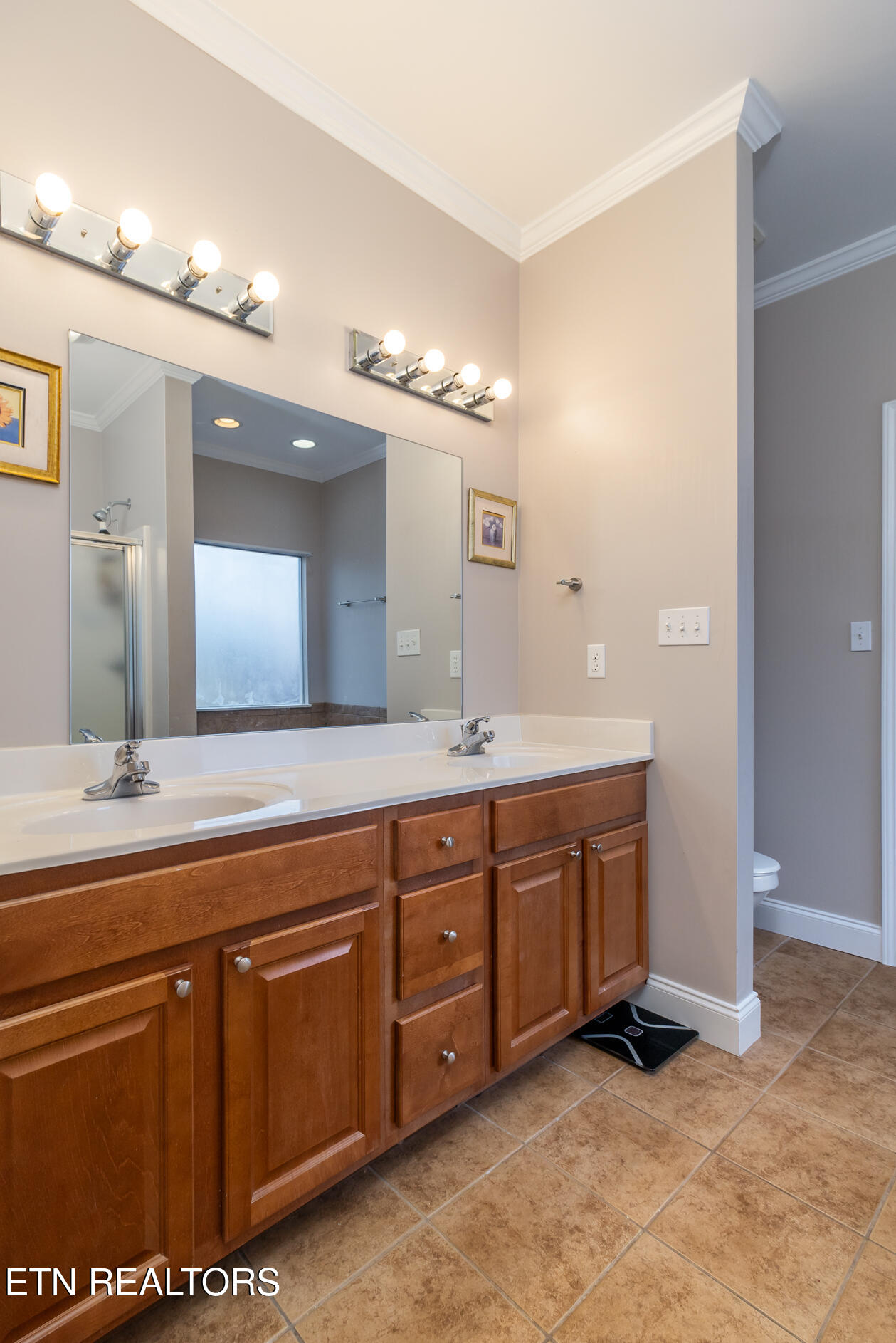 427 Montana Court Seymour TN 37865