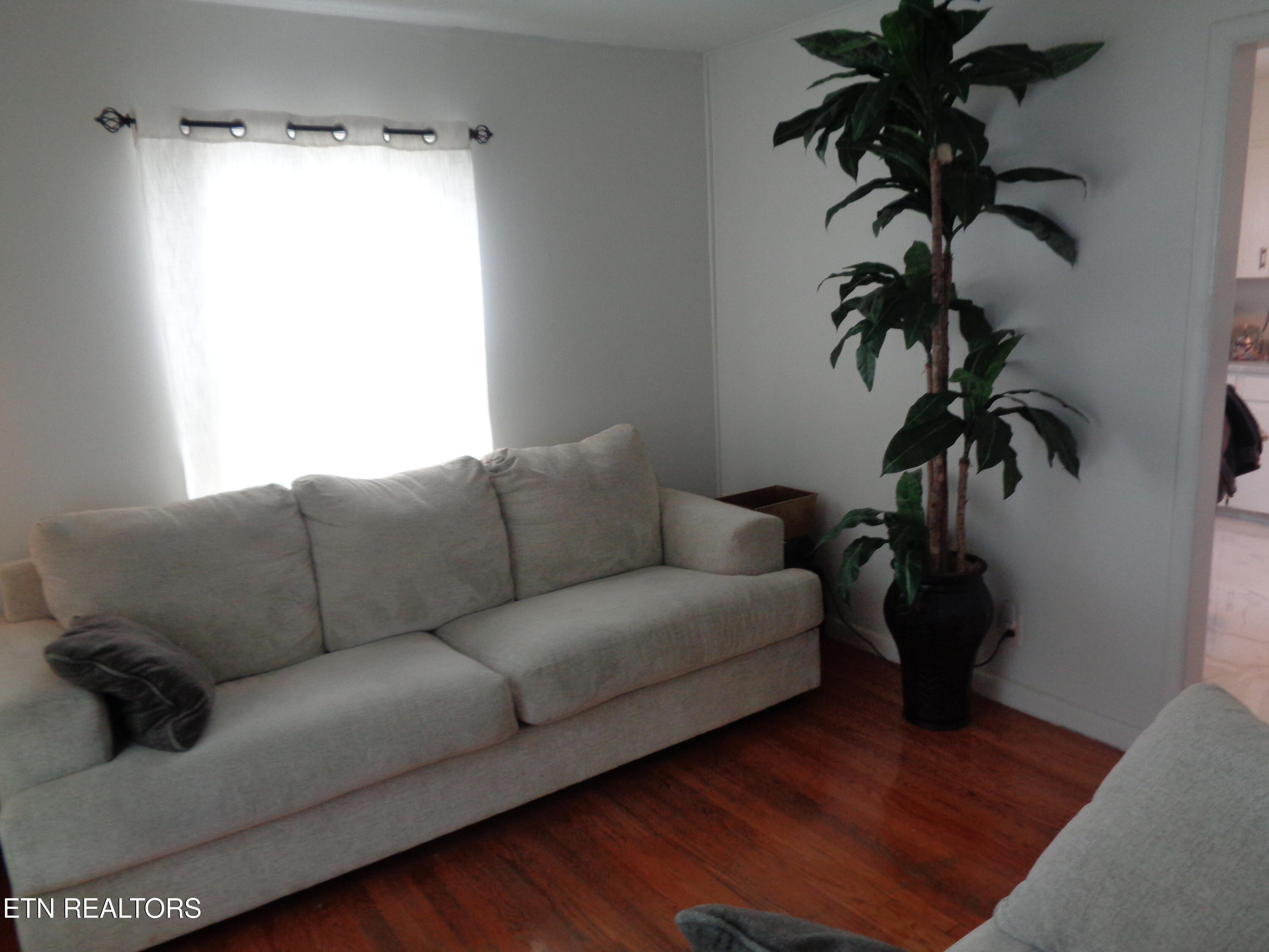 605 Watterson Street Rogersville TN 37857
