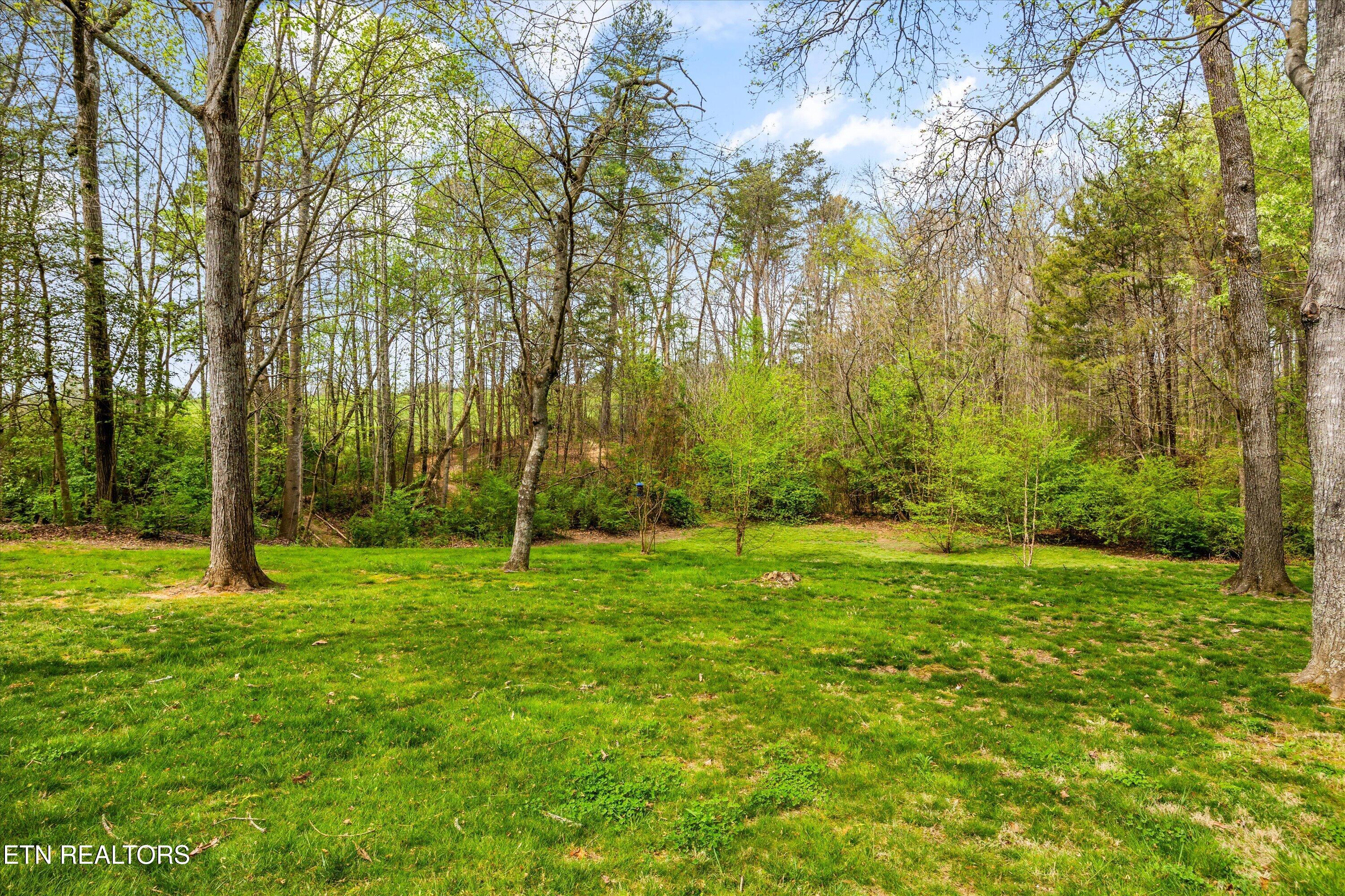 3220 Red Hawk Drive Maryville TN 37803