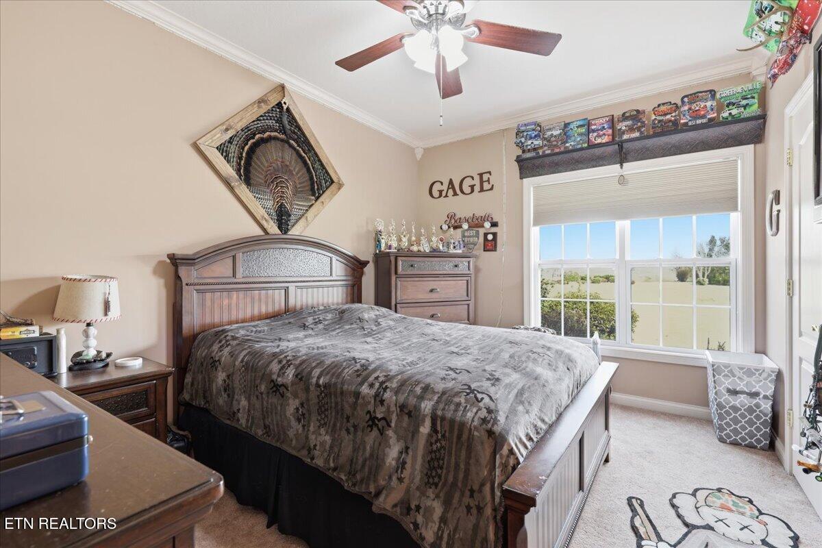 522 Waterstone Circle Greeneville TN 37745