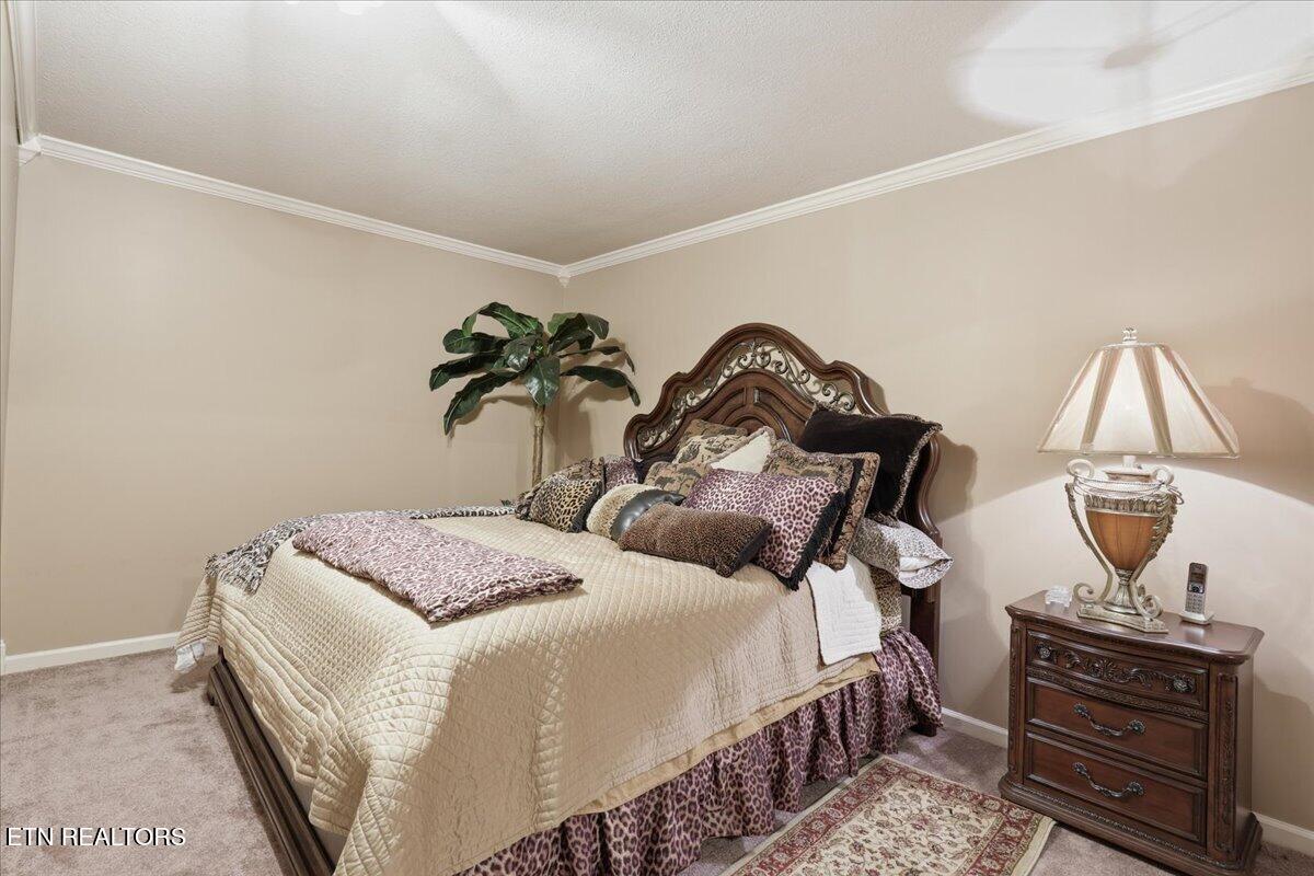 522 Waterstone Circle Greeneville TN 37745