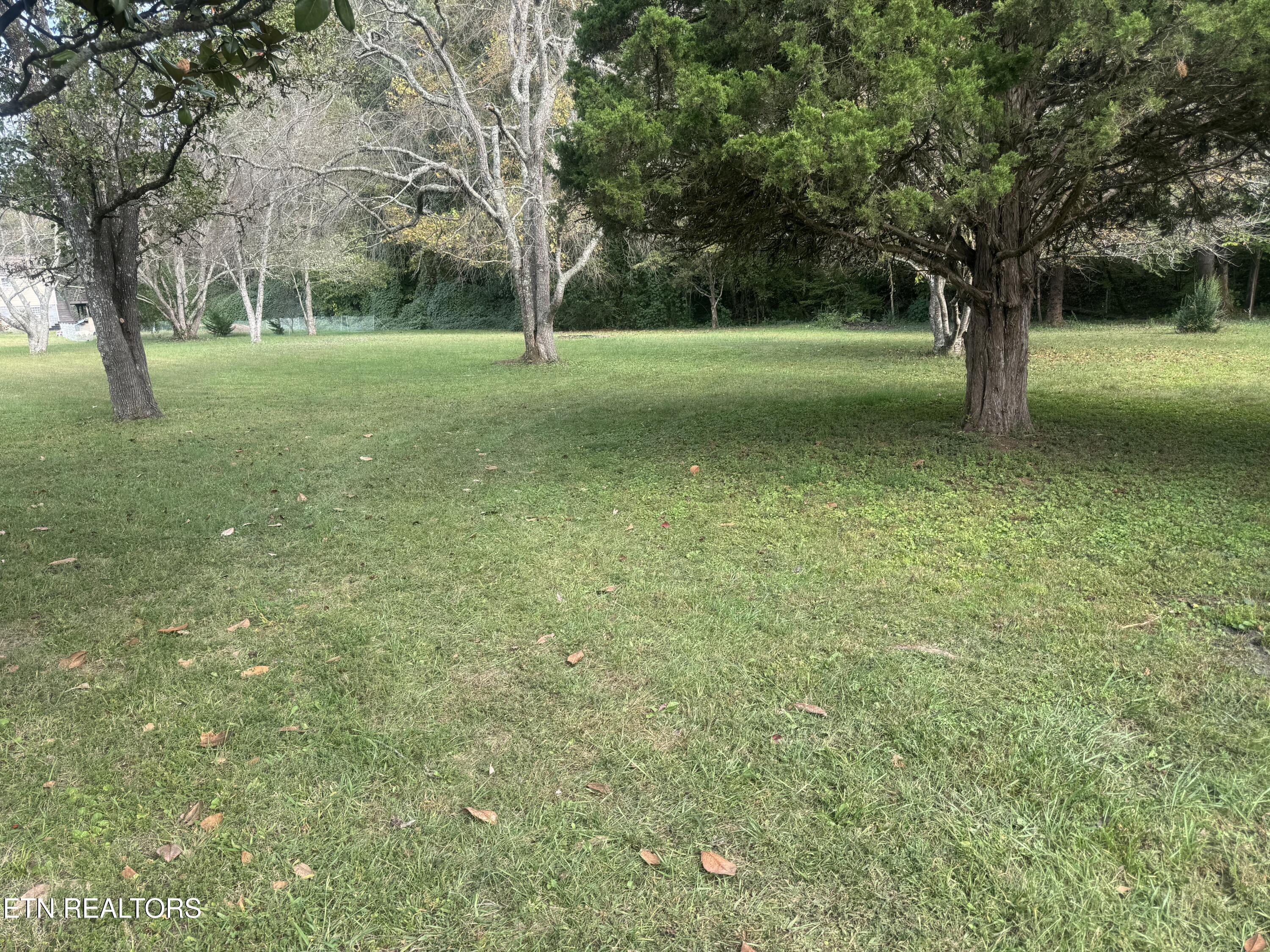 3341 W Wolf Valley Road Clinton TN 37716