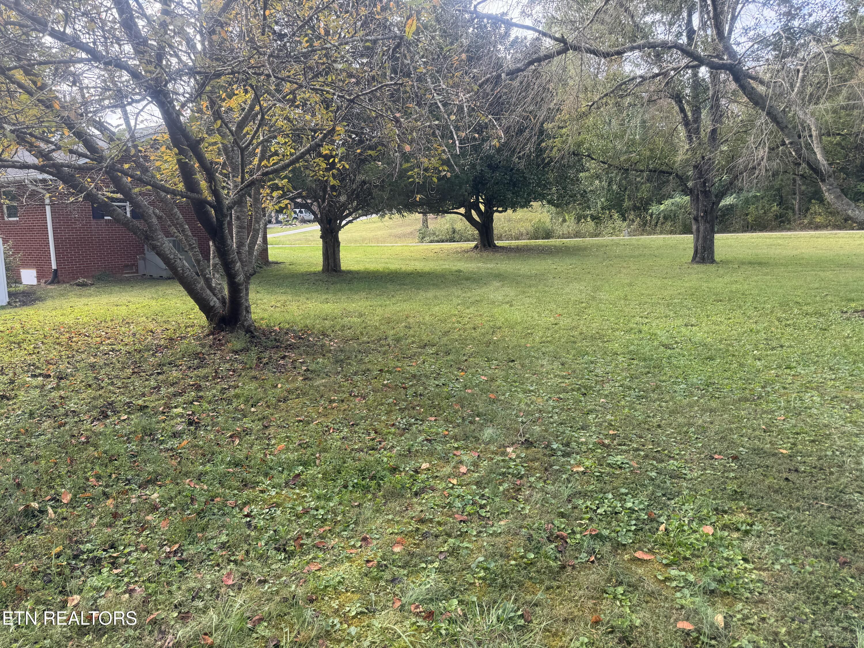 3341 W Wolf Valley Road Clinton TN 37716