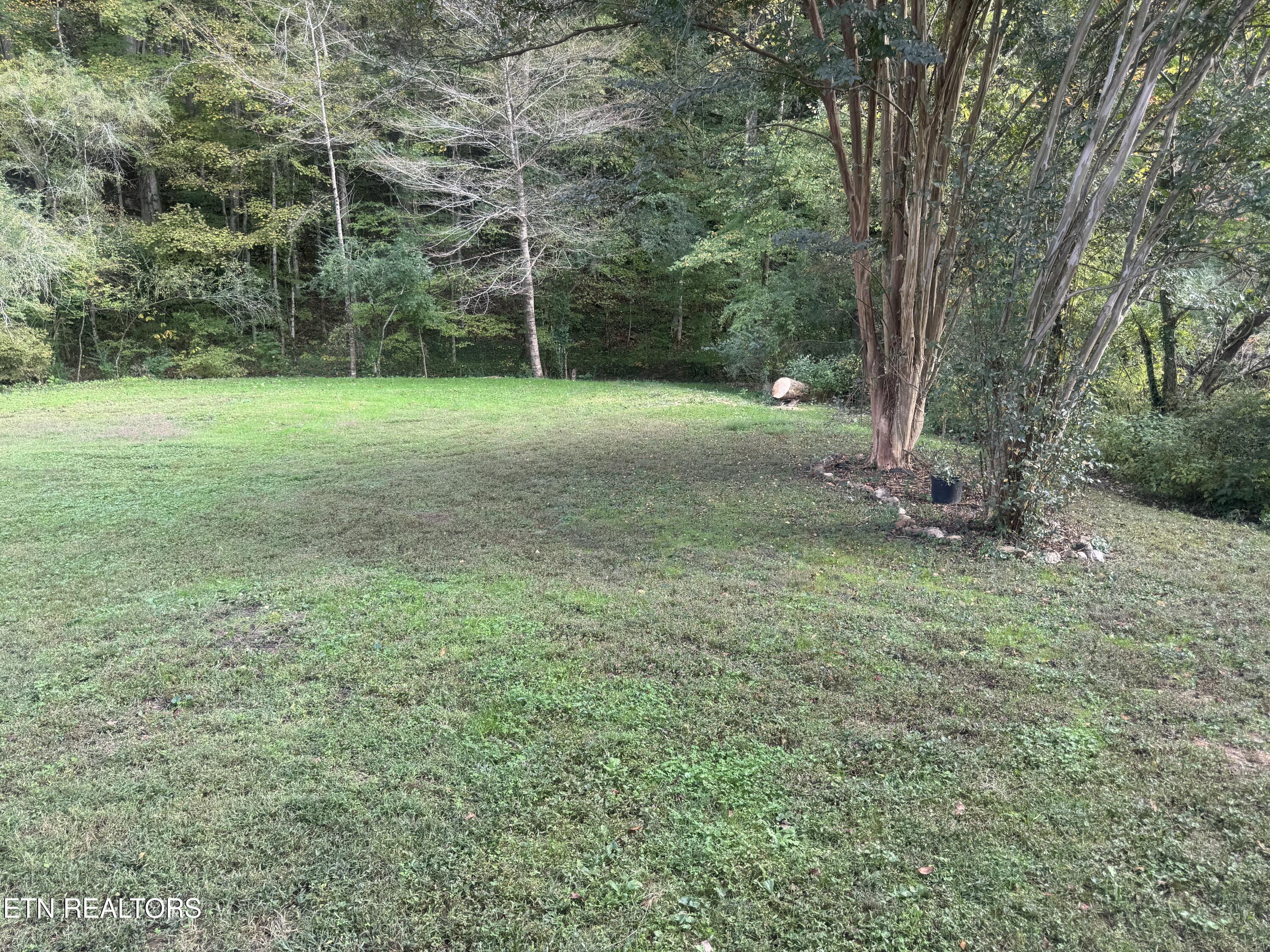 3341 W Wolf Valley Road Clinton TN 37716