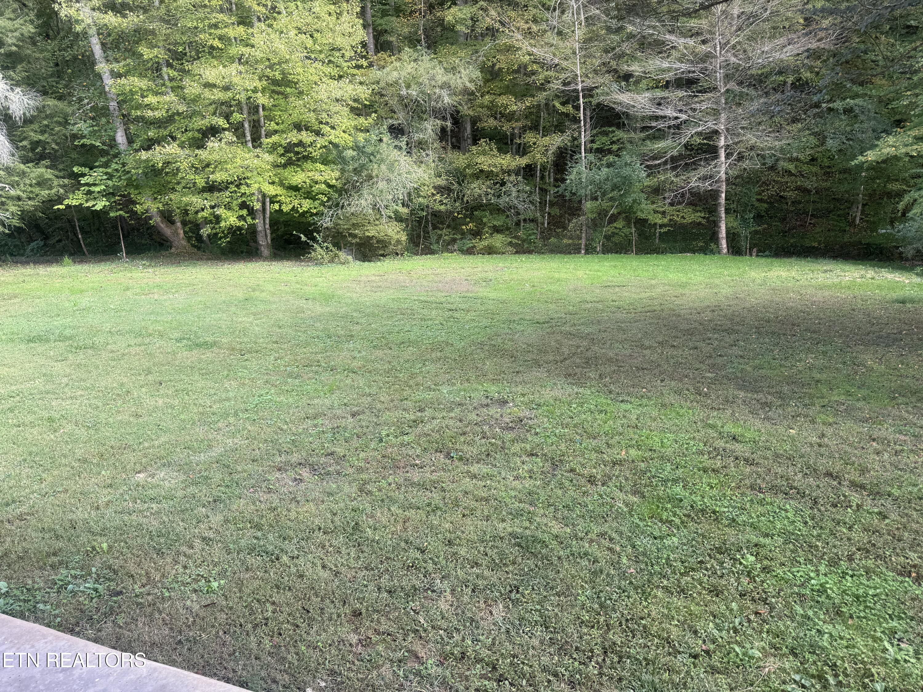 3341 W Wolf Valley Road Clinton TN 37716