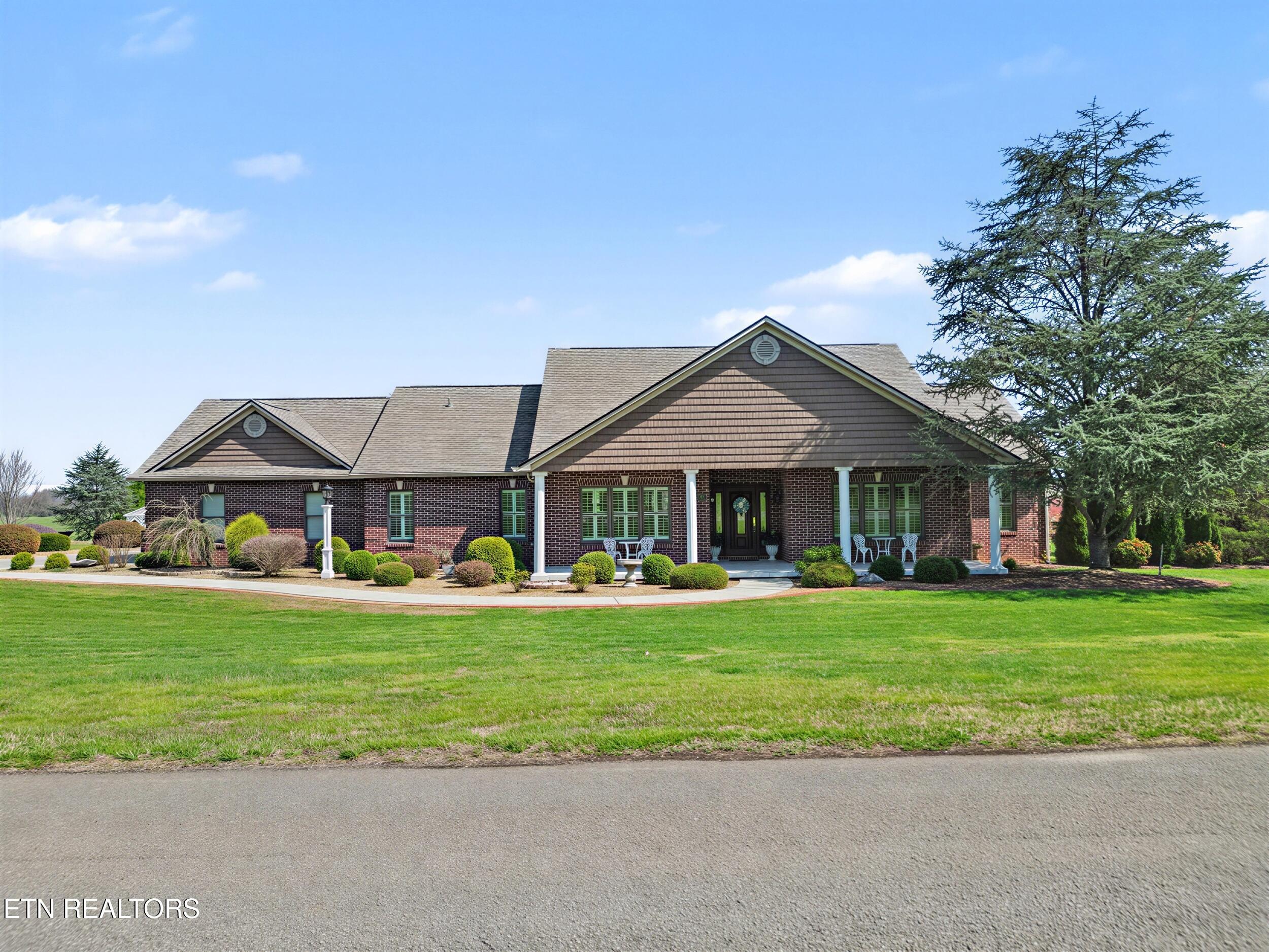 607 Cornfield White Pine TN 37890