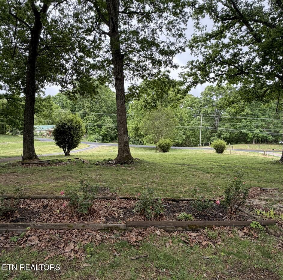 8518 Coppock Road Corryton TN 37721
