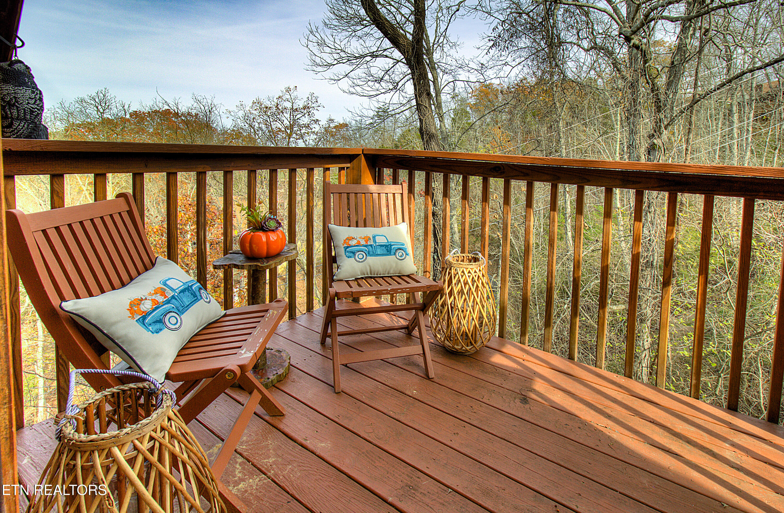 919 Buck Way Sevierville TN 37876
