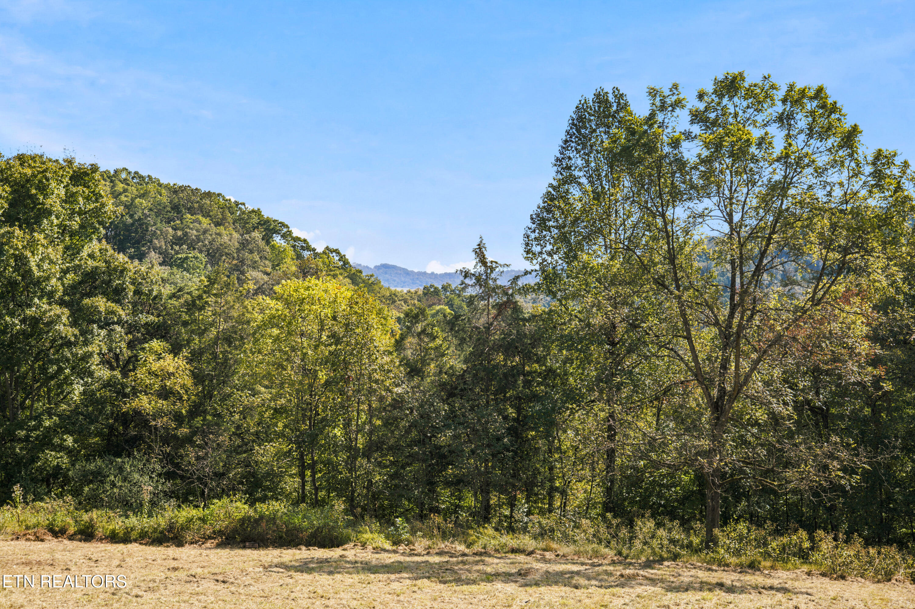 167 Marina Lane Lafollette TN 37766