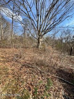 6228 Flint Gap Road Knoxville TN 37914