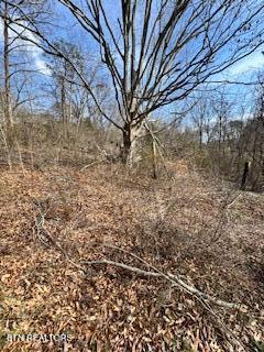 6228 Flint Gap Road Knoxville TN 37914