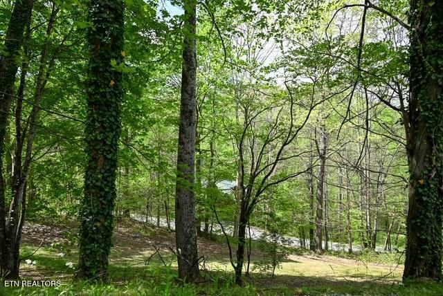 1421 Silver Poplar Lane Sevierville TN 37876