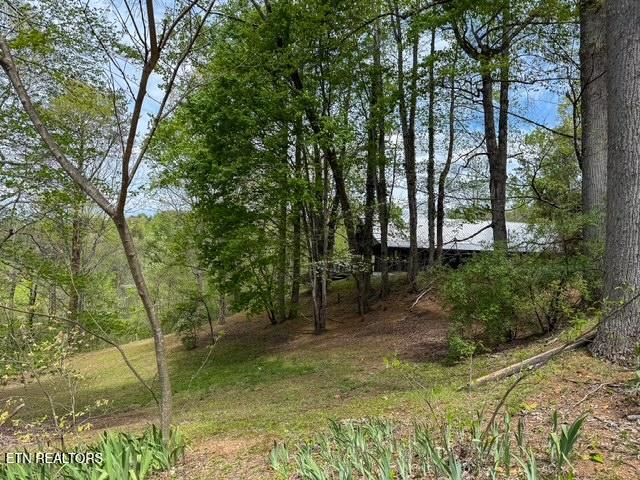 1421 Silver Poplar Lane Sevierville TN 37876