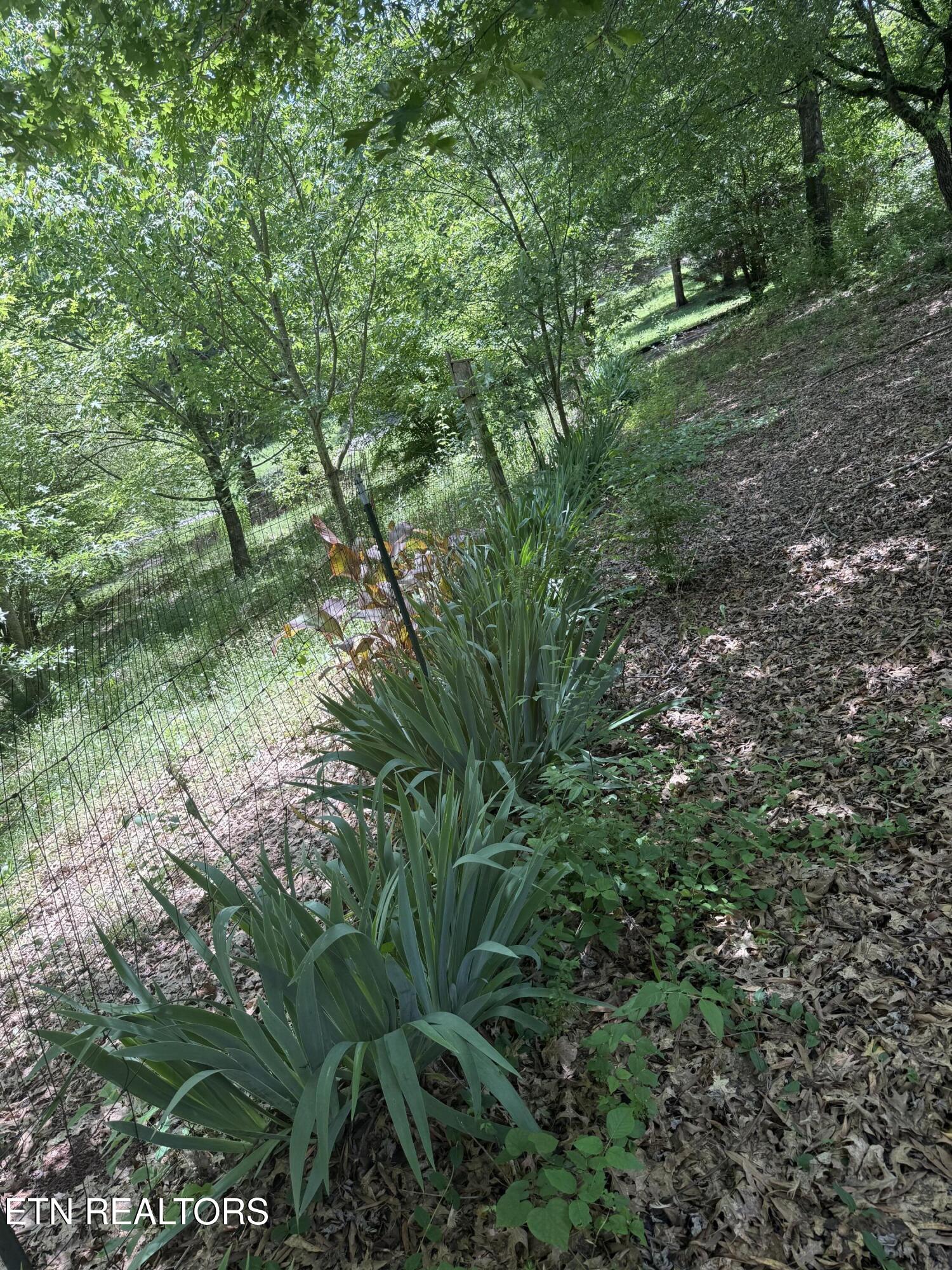 947 N Old Grey Ridge Road Maryville TN 37801