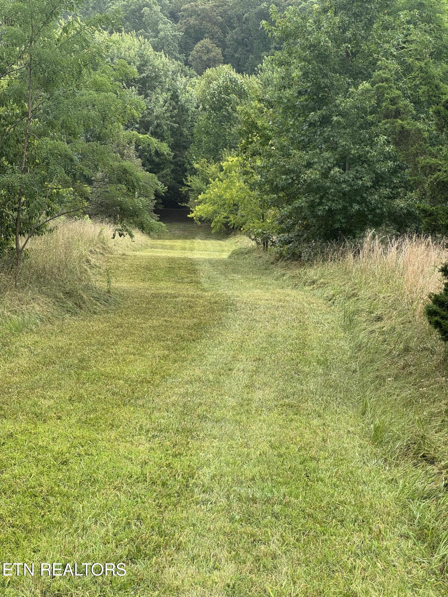 947 N Old Grey Ridge Road Maryville TN 37801