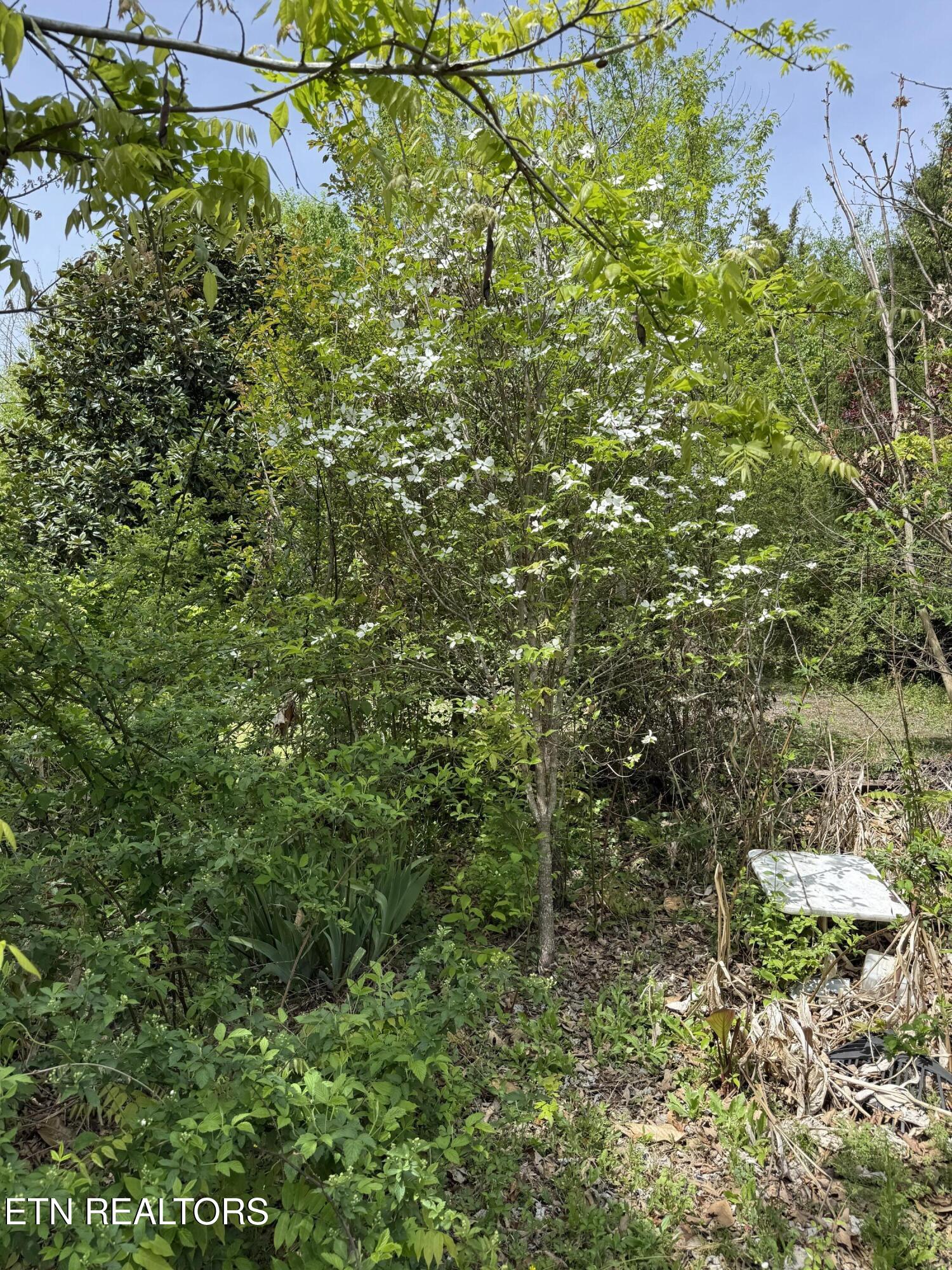 947 N Old Grey Ridge Road Maryville TN 37801