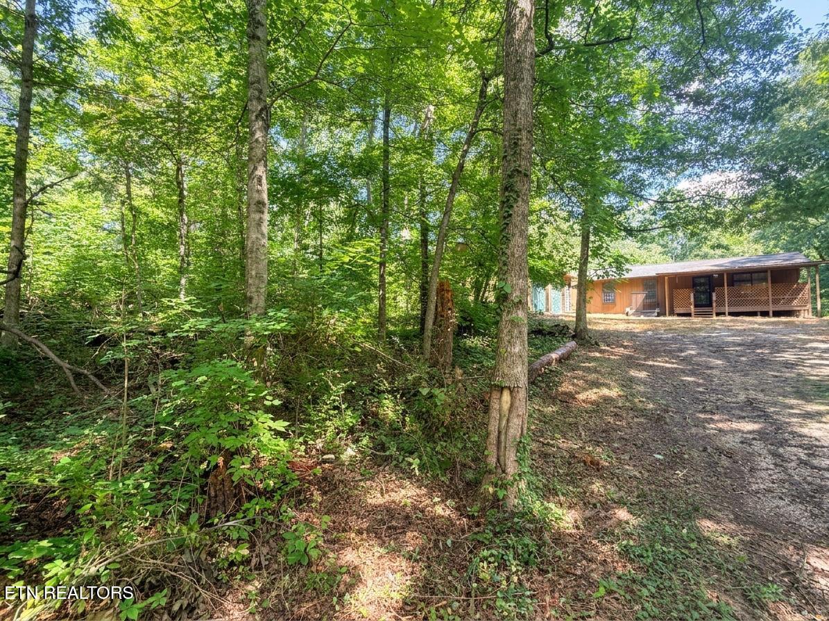 322 Henry Haynes Road Knoxville TN 37920