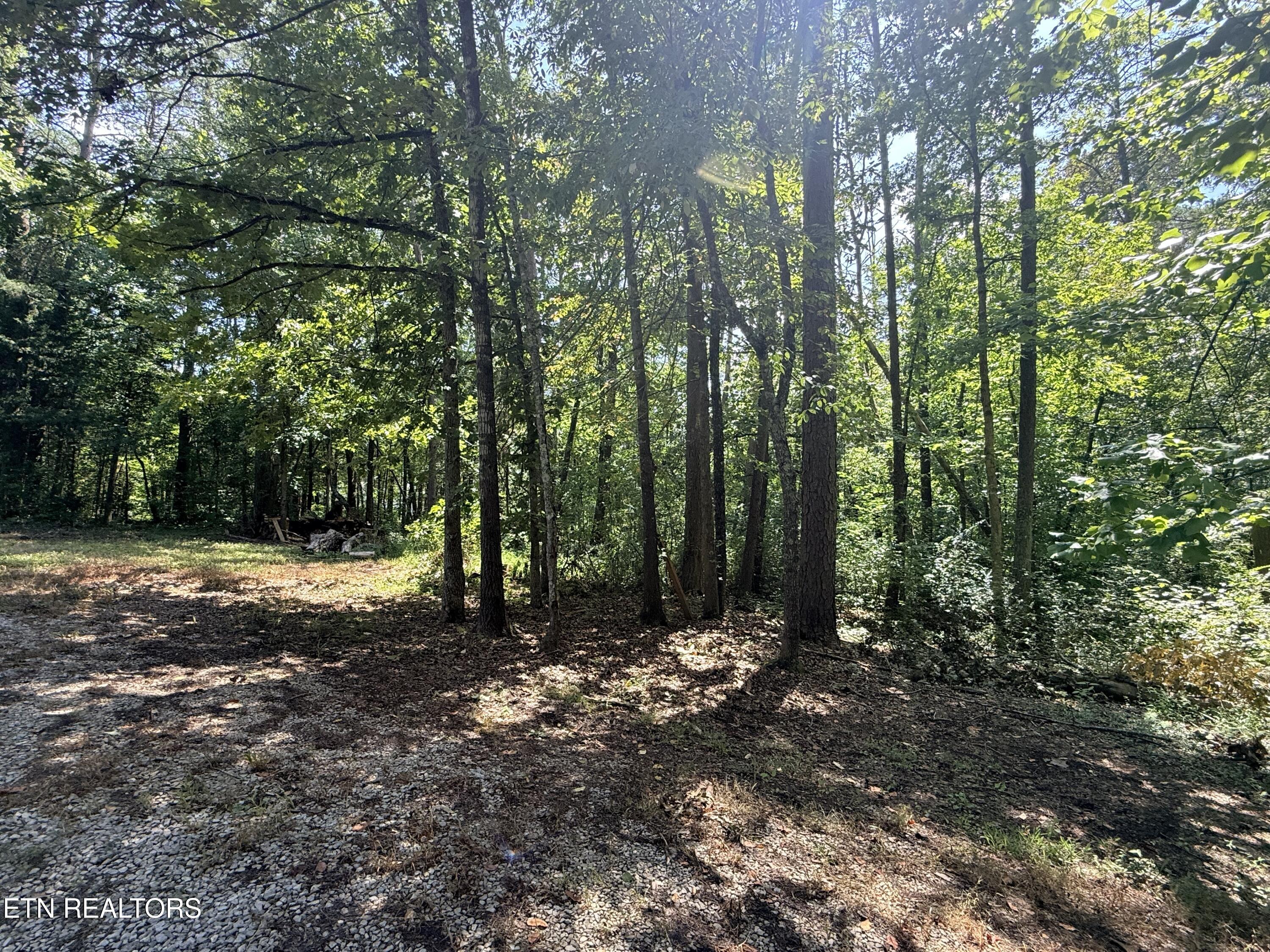 322 Henry Haynes Road Knoxville TN 37920