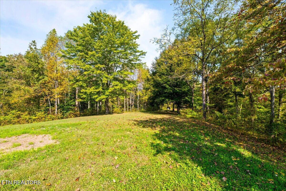 230 Mack Gamble Lane Jacksboro TN 37757