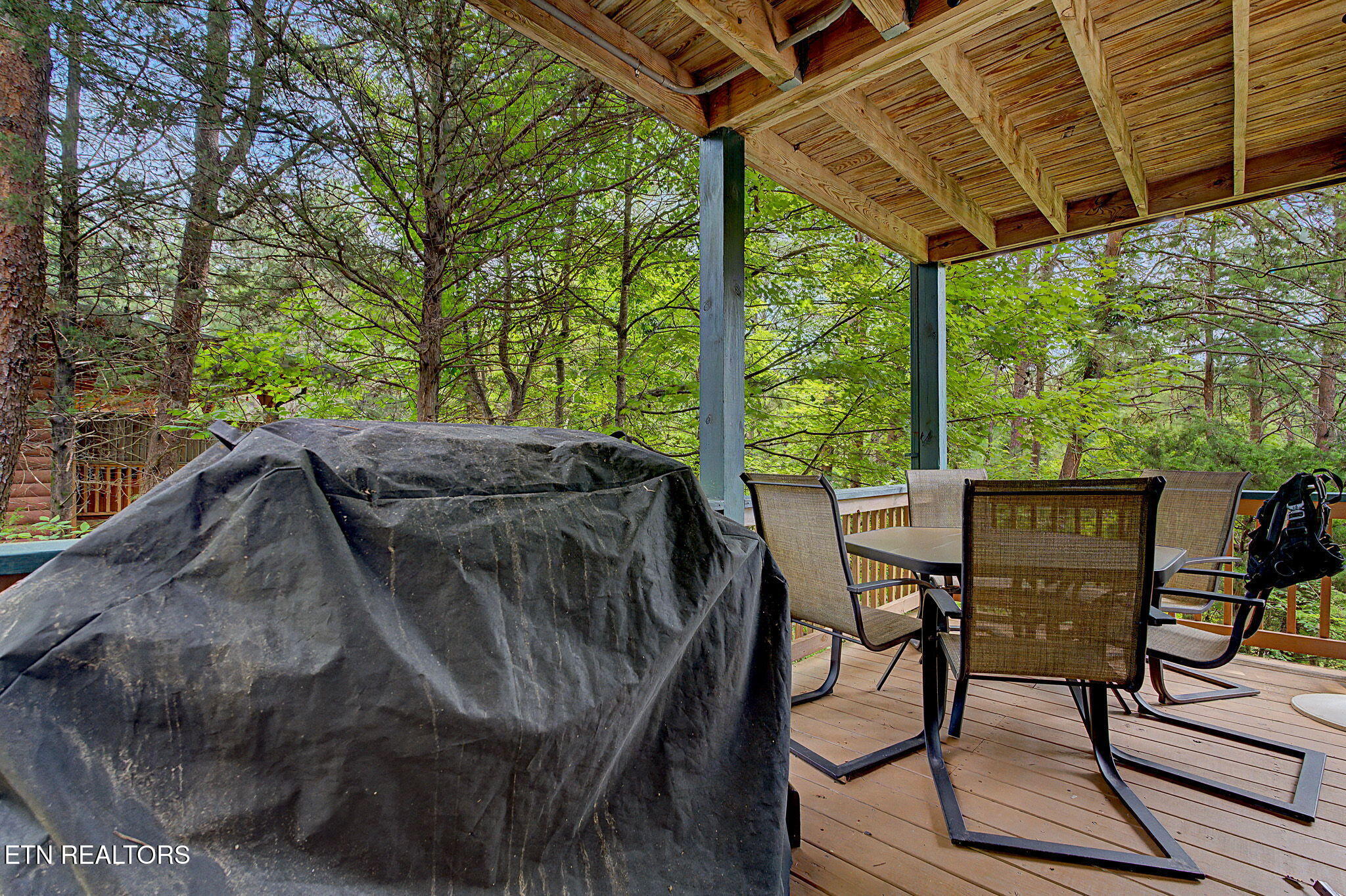 2921 Barnes Drive Sevierville TN 37862