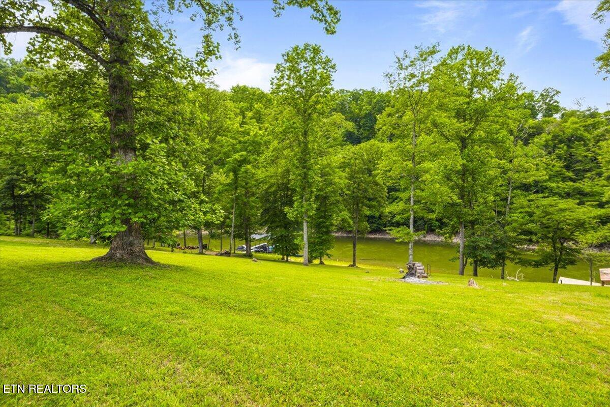 320 Wagon Lane Speedwell TN 37870