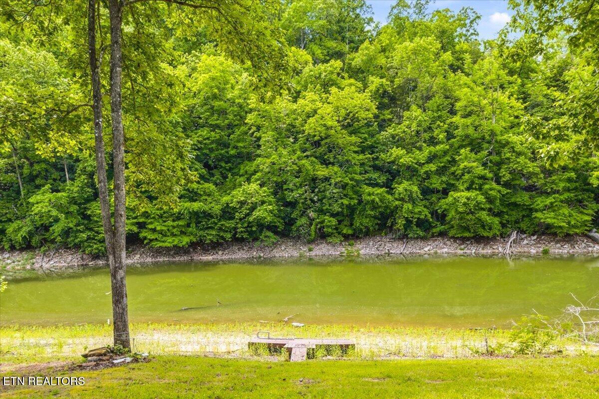 320 Wagon Lane Speedwell TN 37870