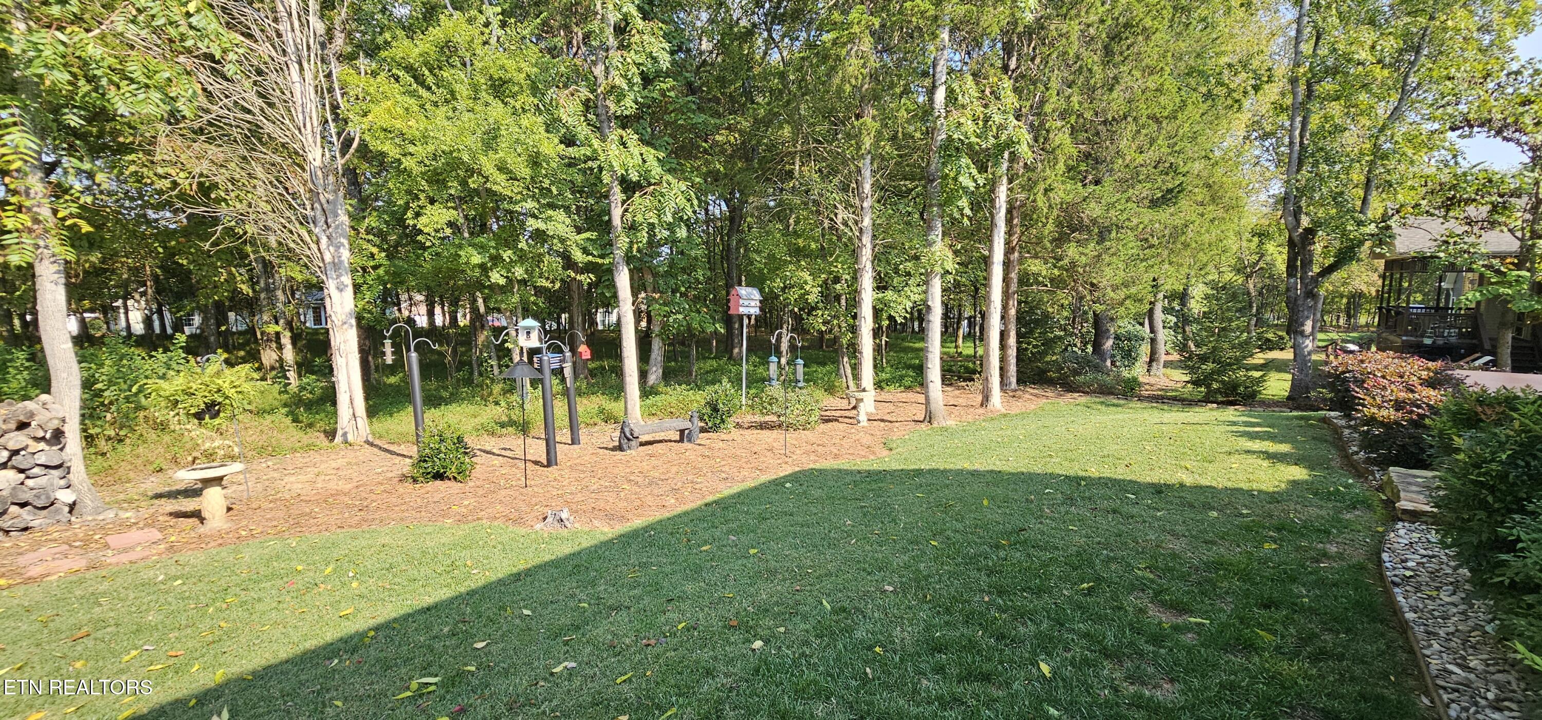 169 Dudi Trail Vonore TN 37885